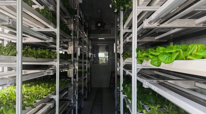 Simple affordable vertical farming