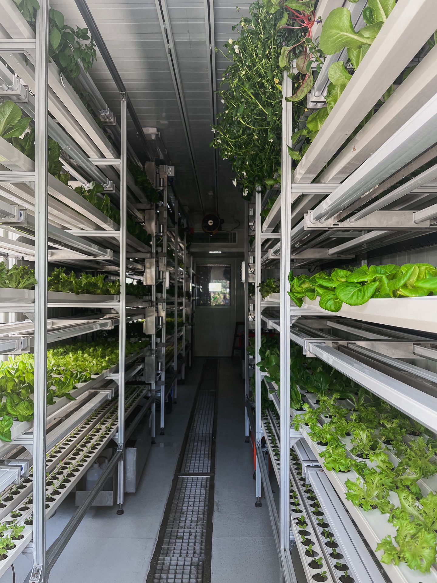 Simple affordable vertical farming