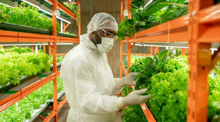 Black agricultural engineer in mask creating agricultural equipment with adaptability