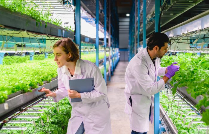 Happy scientists with indoor farm factory, Smart farm with technology