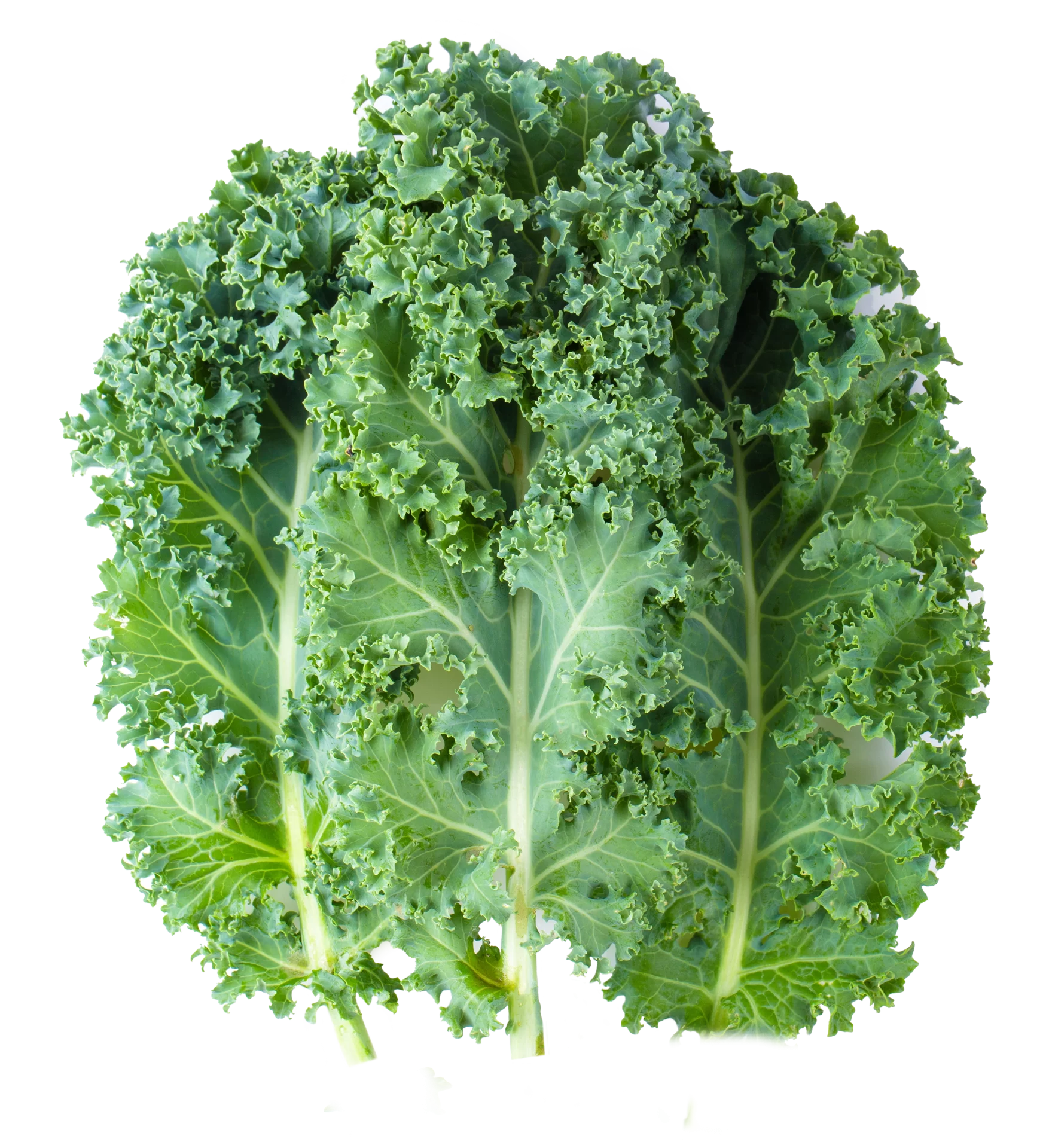 Kale